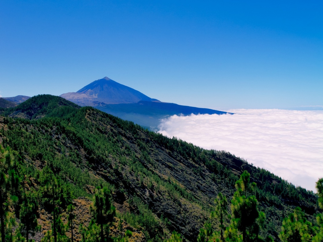 Teide National Park, Tenerife, Canary Islands, Spain